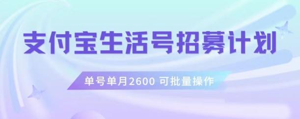 支付宝生活号作者招募计划，单号单月2600，可批量去做，工作室一人一个月轻松1w+【揭秘】-易创云