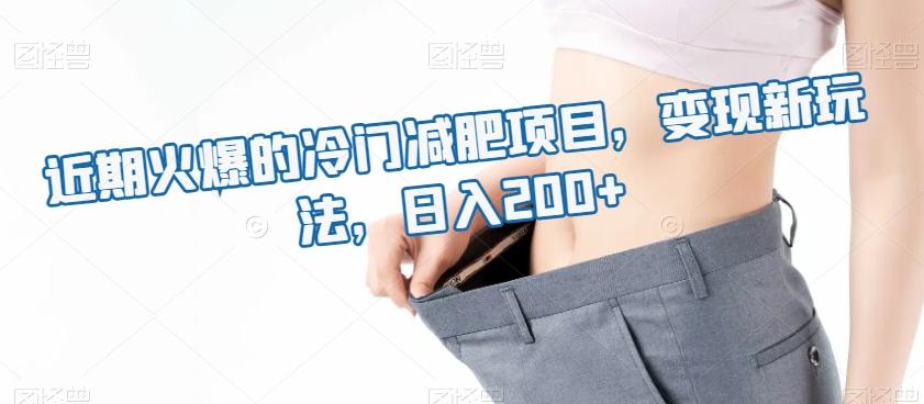 近期火爆的冷门减肥项目,变现新玩法,日入200+-易创云