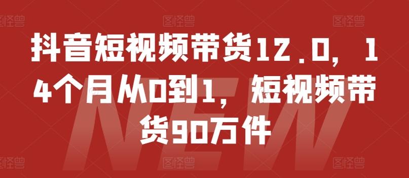 抖音短视频带货12.0,14个月从0到1,短视频带货90万件-易创云