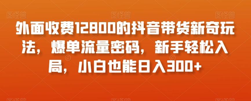 外面收费12800的抖音带货新奇玩法，爆单流量密码，新手轻松入局，小白也能日入300+【揭秘】-易创云