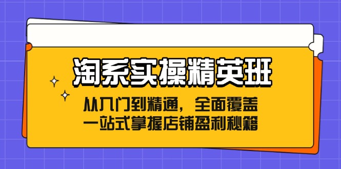 淘系实操精英班：从入门到精通，全面覆盖，一站式掌握店铺盈利秘籍-易创云