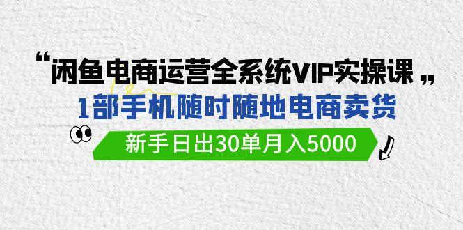 (9547期)闲鱼电商运营全系统VIP实战课,1部手机随时随地卖货,新手日出30单月入5000-易创云