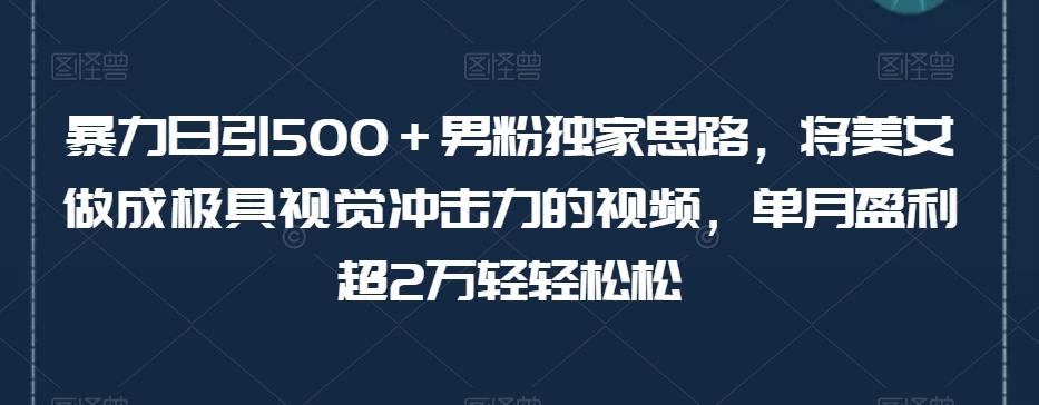 暴力日引500+男粉独家思路,将美女做成极具视觉冲击力的视频,单月盈利超2万轻轻松松-易创云