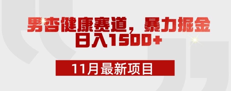 11月最新项目，男杏健康赛道，暴力掘金，日入1500+-易创云