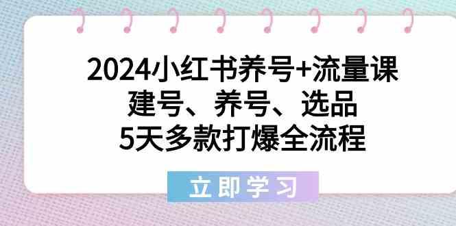 2024小红书养号+流量课：建号、养号、选品，5天多款打爆全流程-易创云