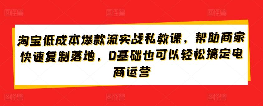 淘宝低成本爆款流实战私教课,帮助商家快速复制落地,0基础也可以轻松搞定电商运营-易创云