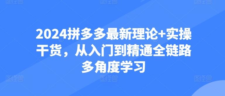 2024拼多多最新理论+实操干货,从入门到精通全链路多角度学习-易创云