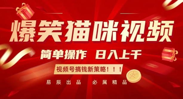 爆笑猫咪视频:简单操作,日入过K,视频号搞钱新策略【揭秘】-易创云