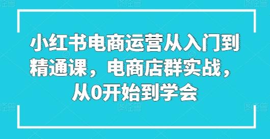 小红书电商运营从入门到精通课，电商店群实战，从0开始到学会-易创云