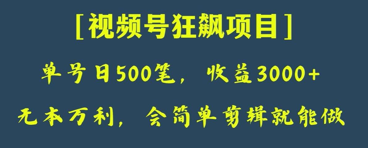 日收款500笔，纯利润3000+，视频号狂飙项目，会简单剪辑就能做【揭秘】-易创云