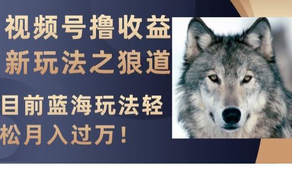 视频号撸收益新玩法之狼道，目前蓝海玩法，轻松月入过万【揭秘】-易创云