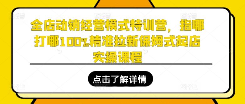 全店动销经营模式特训营,指哪打哪100%精准拉新保姆式起店实操课程-易创云