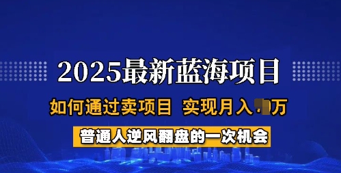 2025蓝海项目,普通人如何通过卖项目,实现月入过W,全过程【揭秘】-易创云