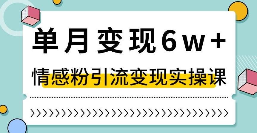 单月变现6W+，抖音情感粉引流变现实操课，小白可做，轻松上手，独家赛道【揭秘】-易创云