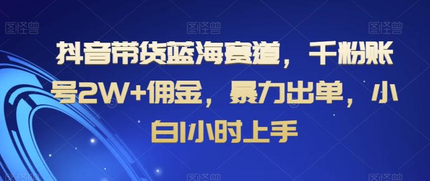 抖音带货蓝海赛道，千粉账号2W+佣金，暴力出单，小白1小时上手【揭秘】-易创云