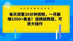 每天观看30分钟视频，一月躺赚1000+美金！保姆级教程，可放大操作【揭秘】-易创云