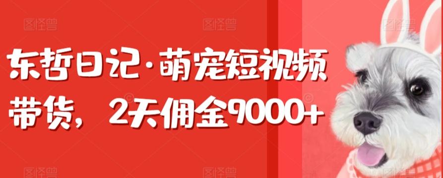 东哲日记·萌宠短视频带货，2天佣金9000+-易创云