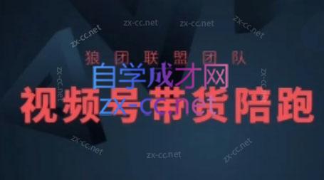 狼团联盟·2024视频号带货-易创云