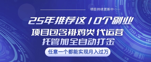 25年推荐这10个副业项目包含褂鸡类、代运营托管类、全自动打金类【揭秘】-易创云