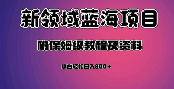 虚拟资源蓝海领域新项目，轻松日入800＋，附保姆级教程及资料-易创云