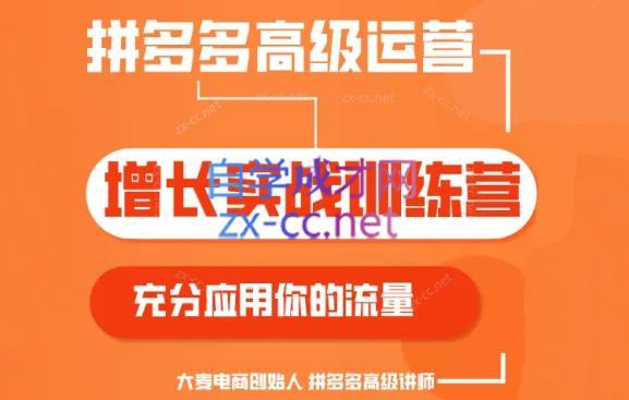 大麦老师·拼多多单品爆款打造课程(更新6月)-易创云