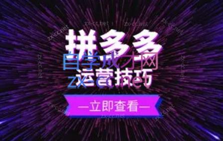 力辛电商·拼多多强付费店群玩法-易创云