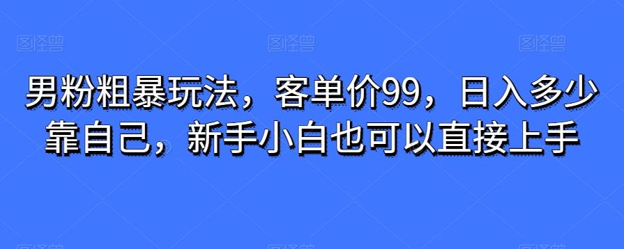 男粉粗暴玩法,客单价99,日入多少靠自己,新手小白也可以直接上手-易创云