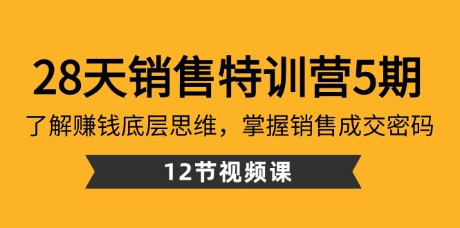 28天销售特训营5期：了解赚钱底层思维，掌握销售成交密码（12节课）-易创云