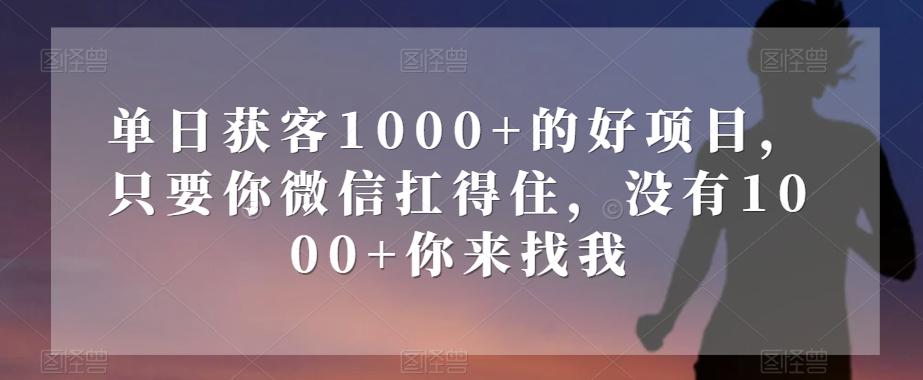 单日获客1000+的好项目,只要你微信扛得住,没有1000+你来找我【揭秘】-易创云