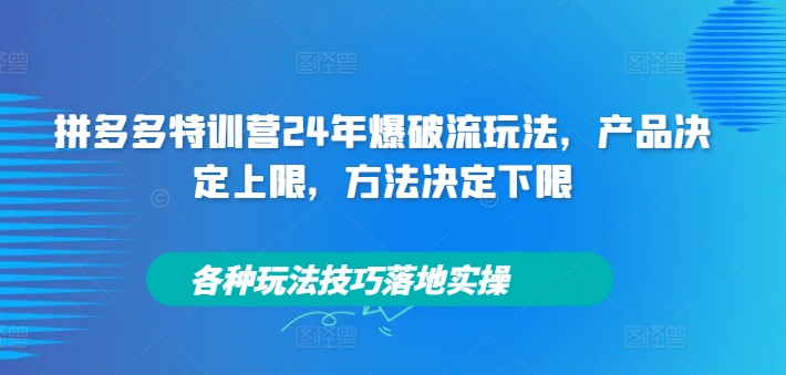拼多多特训营24年爆破流玩法,产品决定上限,方法决定下限,各种玩法技巧落地实操-易创云
