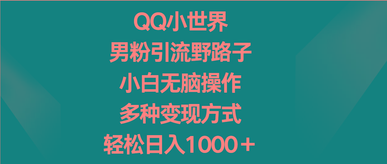 QQ小世界男粉引流野路子，小白无脑操作，多种变现方式轻松日入1000＋-易创云