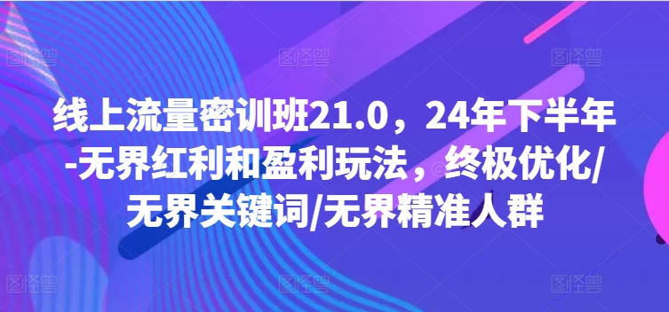 线上流量密训班21.0，24年下半年-无界红利和盈利玩法，终极优化/无界关键词/无界精准人群-易创云