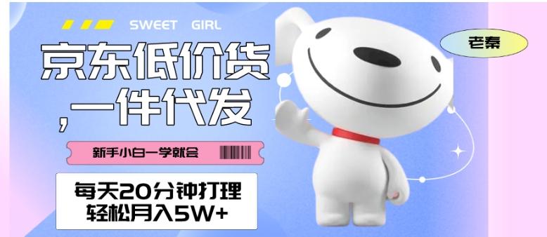 每天20分钟打理京东低价货，一件代发-轻松月入5W＋-易创云
