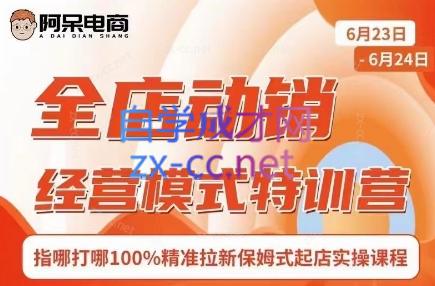 阿呆电商·全店动销经营模式特训营(线下录音+思维导图)-易创云