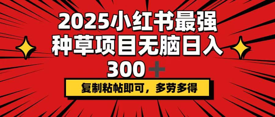 2025小红书最强种草项目,无脑日入300+,复制粘帖即可,多劳多得-易创云