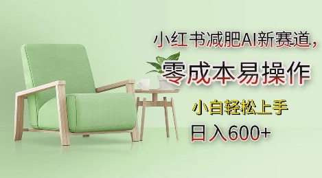 小红书减肥AI新赛道，零成本易操作，日入多张，小白轻松上手【揭秘】-易创云