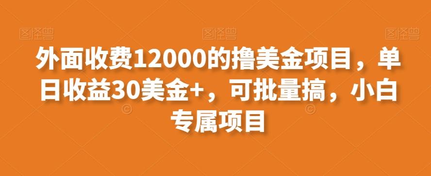 外面收费12000的撸美金项目，单日收益30美金+，可批量搞，小白专属项目-易创云