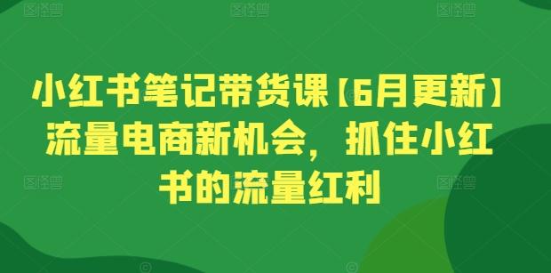 小红书笔记带货课【6月更新】流量电商新机会,抓住小红书的流量红利-易创云