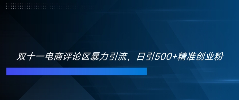 双十一电商评论区暴力引流，日引500+精准创业粉【揭秘】-易创云