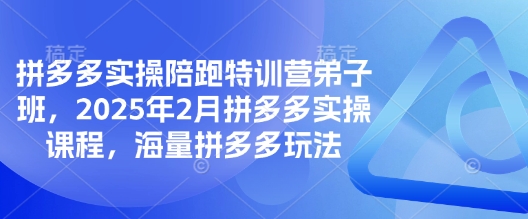 拼多多实操陪跑特训营弟子班，2025年2月拼多多实操课程，海量拼多多玩法-易创云