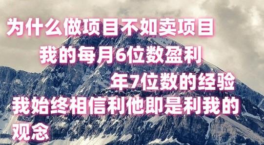 做项目不如卖项目，每月6位数盈利，年7位数经验-易创云