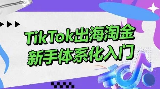 TikTok出海淘金，新手体系化入门，零基础快速入门，掌握短视频、直播带货等引流到变现的知识-易创云