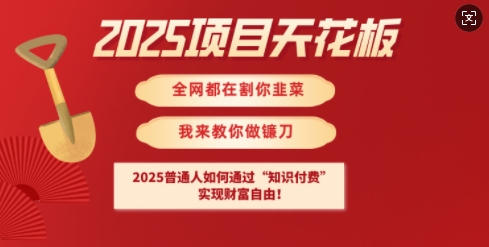 2025项目天花板普通人如何通过知识付费，实现财F自由【揭秘】-易创云